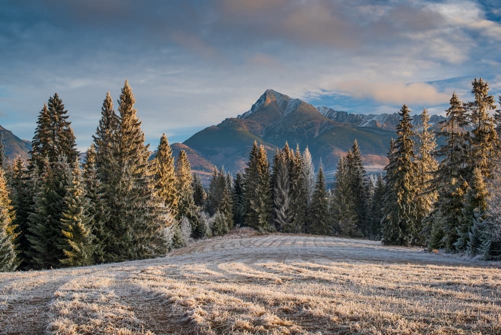 Climate & Best Time to Visit